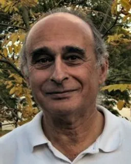 Professor Roger Stern